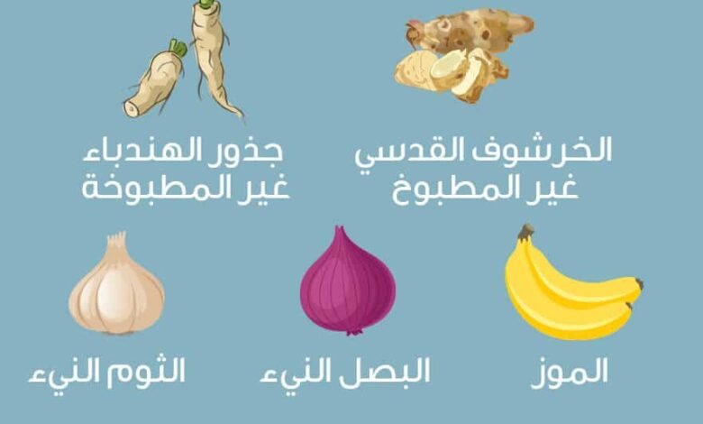 أهمية الغذاء المتوازن لتقوية جهاز المناعة أهمية الغذاء المتوازن لتقوية جهاز المناعة