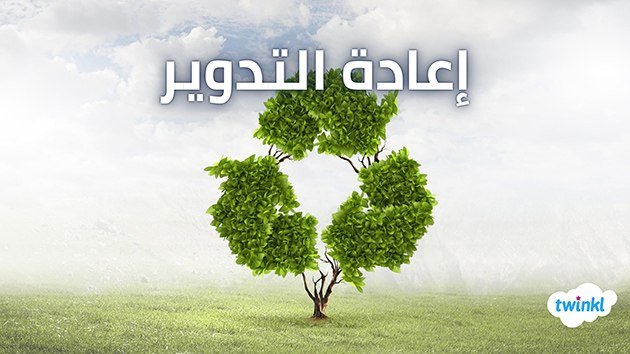 فوائد إعادة التدوير في تقليل التلوث البيئي