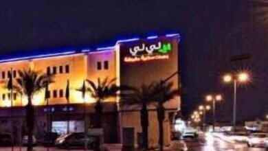 فندق لي لي المبرز