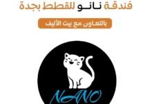 فندقة قطط