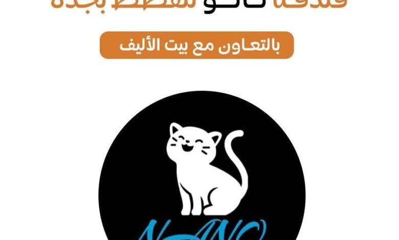فندقة قطط فندقة قطط