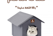 فندقة قطط الدمام