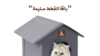 فندقة قطط الدمام
