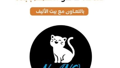 فندقة قطط جدة